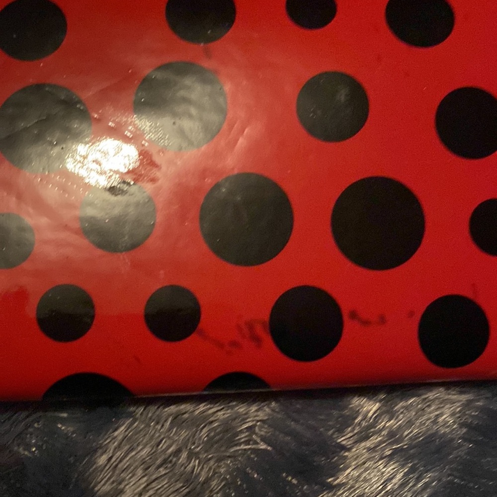 Ladybug Print Wallet - Picture 2 of 4